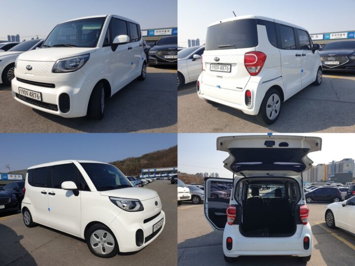 The New Ray Deluxe ENCAR39391384