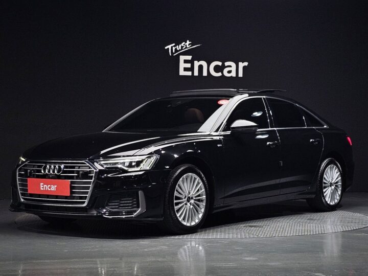 A6 (C8) 45 Tfsi Premium ENCAR39677752