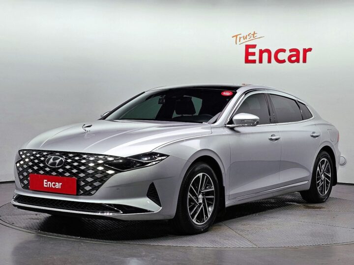 The New Grandeur Ig 3.0 Lpi (Taxi Type) Advanced Type ENCAR40043987