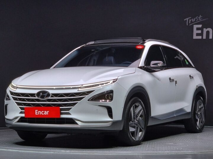 Nexo Premium KMHJ8816FNU021949