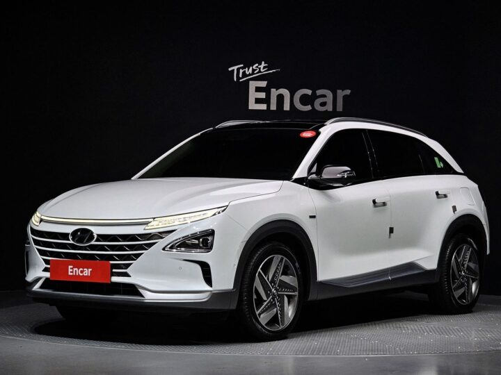 Hyundai Nexo Premium, 2021 KMHJ8816FMU012744