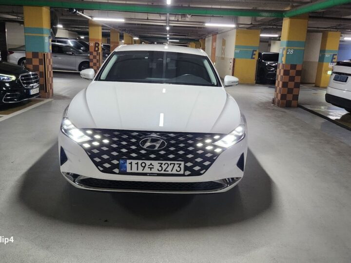 The New Grandeur Ig 3.0 Lpi (Taxi Type) Advanced Type ENCAR40364315