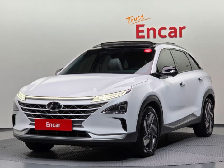 Hyundai Nexo Premium, 2021 ENCAR40379759