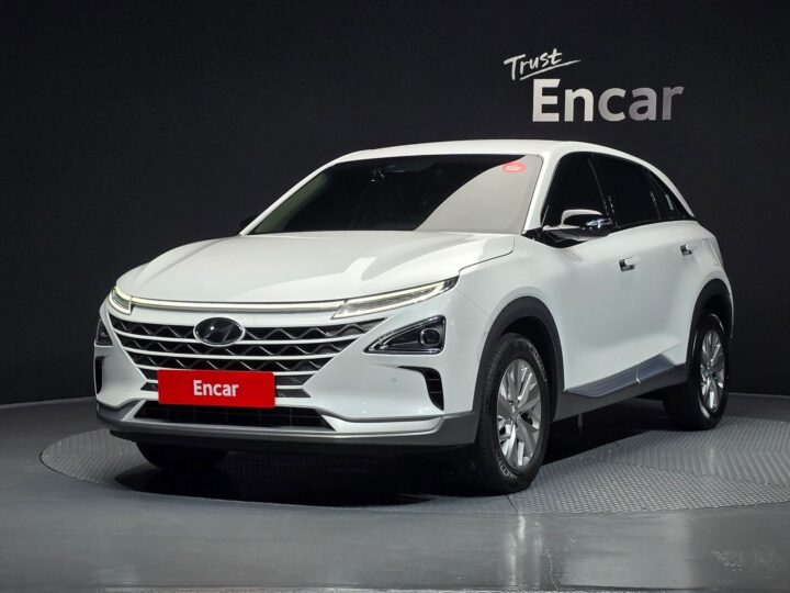 Hyundai Nexo Modern, 2022 KMHJ7816FPU027079
