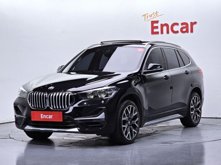 X1 (F48) xDrive 20I Xline WBA11DG00N5V31351